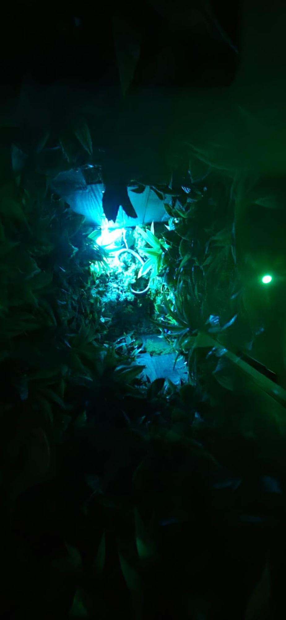 La Jungle Room Rognac Eksteriør billede